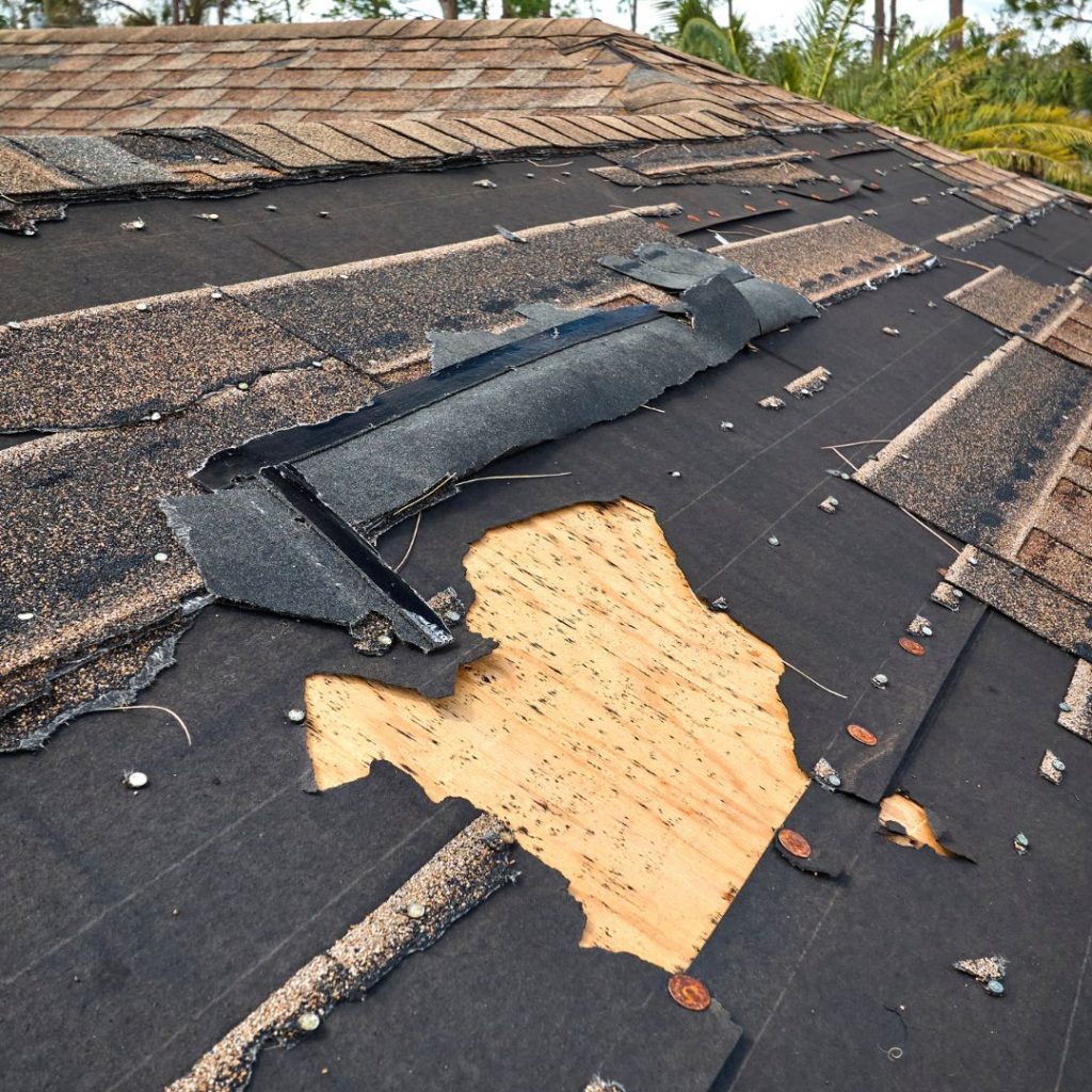 Trust Your Roof to the Experts: Offering Top-Notch Roof Repairs Cache Valley