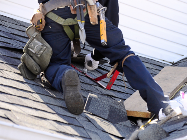 Best Roofer in Cache Valley installing architectural shingles